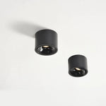 Recessed Ceiling Light Adjustable LED Aluminum
