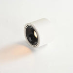 Recessed Ceiling Light Adjustable LED Aluminum