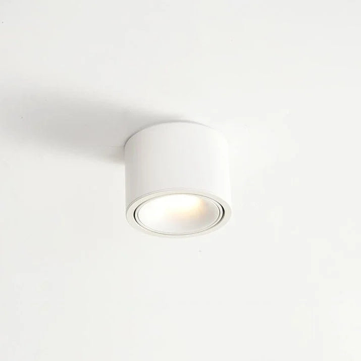 Recessed Ceiling Light Adjustable LED Aluminum