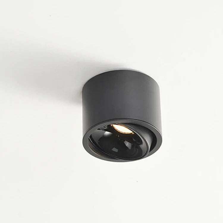 Recessed Ceiling Light Adjustable LED Aluminum