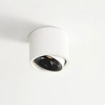 Recessed Ceiling Light Adjustable LED Aluminum