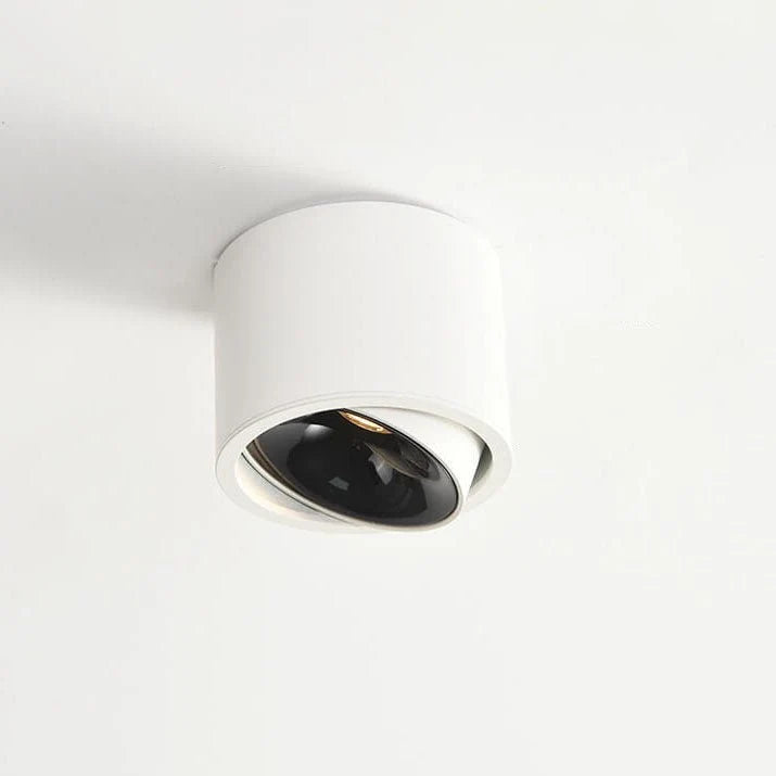 Recessed Ceiling Light Adjustable LED Aluminum