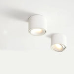 Recessed Ceiling Light Adjustable LED Aluminum