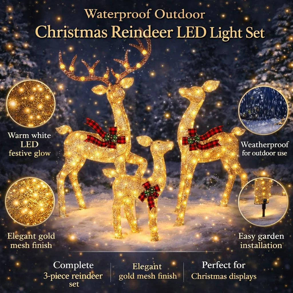 Reindeer Decoration Set of 3 Warm White LED Lights