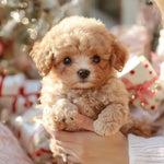Robotic Puppy Toy Walking Barking & Sitting Plush Companion