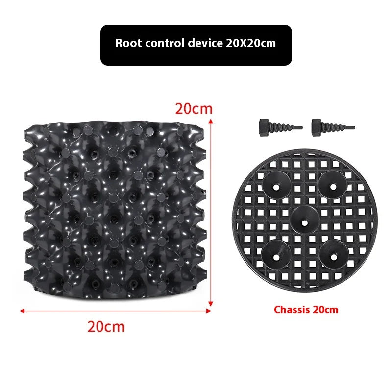 Root Control Device Guides Root Growth Reduces Root Rot