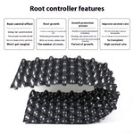 Root Control Device Guides Root Growth Reduces Root Rot