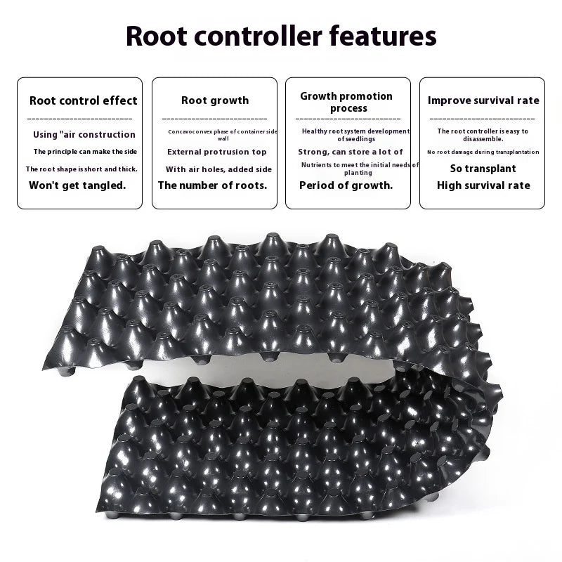 Root Control Device Guides Root Growth Reduces Root Rot