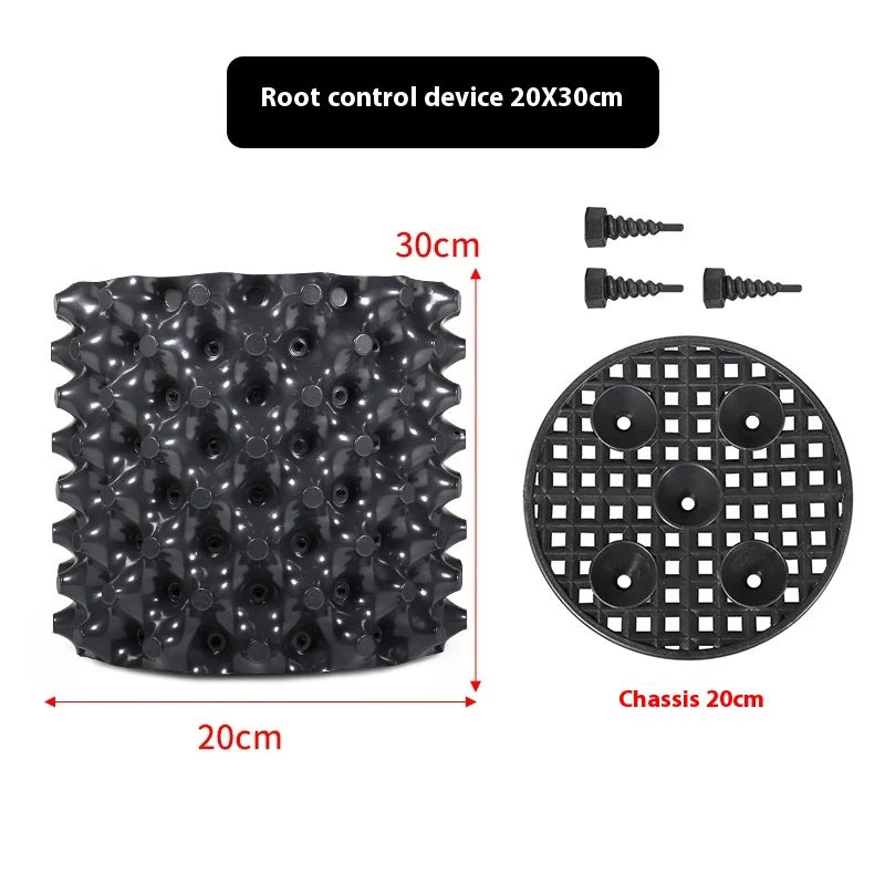 Root Control Device Guides Root Growth Reduces Root Rot