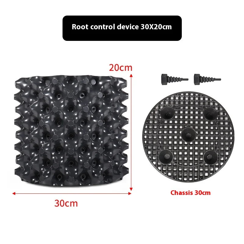 Root Control Device Guides Root Growth Reduces Root Rot