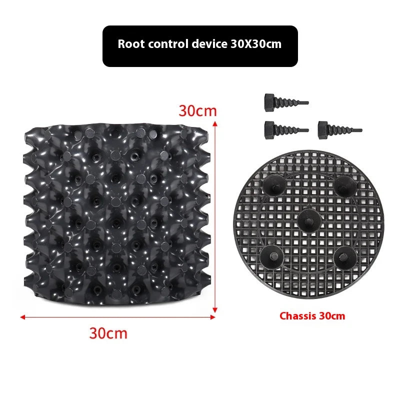 Root Control Device Guides Root Growth Reduces Root Rot