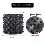 Root Control Device Guides Root Growth Reduces Root Rot