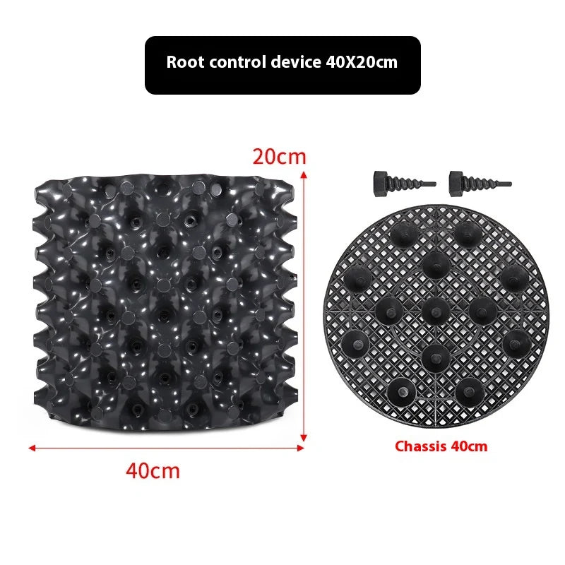 Root Control Device Guides Root Growth Reduces Root Rot