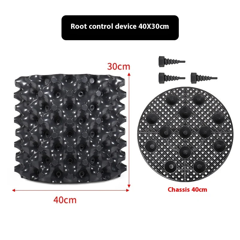 Root Control Device Guides Root Growth Reduces Root Rot