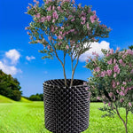 Root Control Device Guides Root Growth Reduces Root Rot