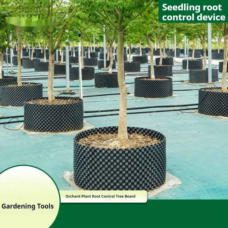 Root Control Device Guides Root Growth Reduces Root Rot