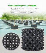Root Control Device Guides Root Growth Reduces Root Rot