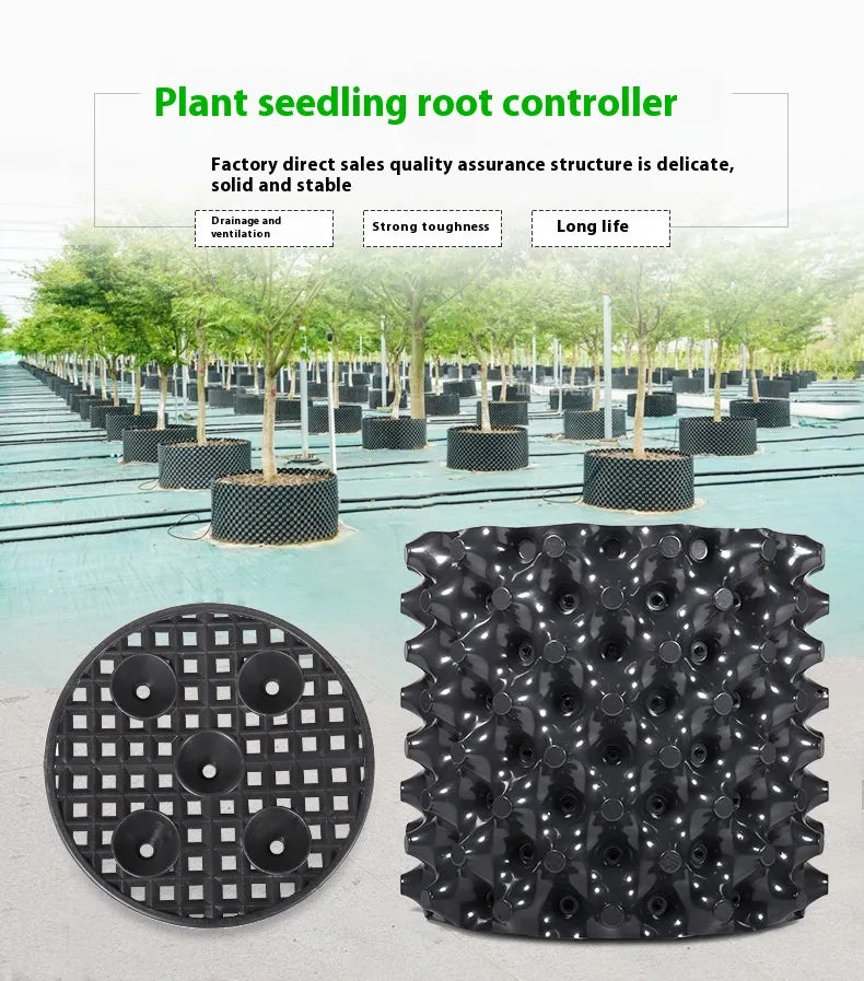 Root Control Device Guides Root Growth Reduces Root Rot