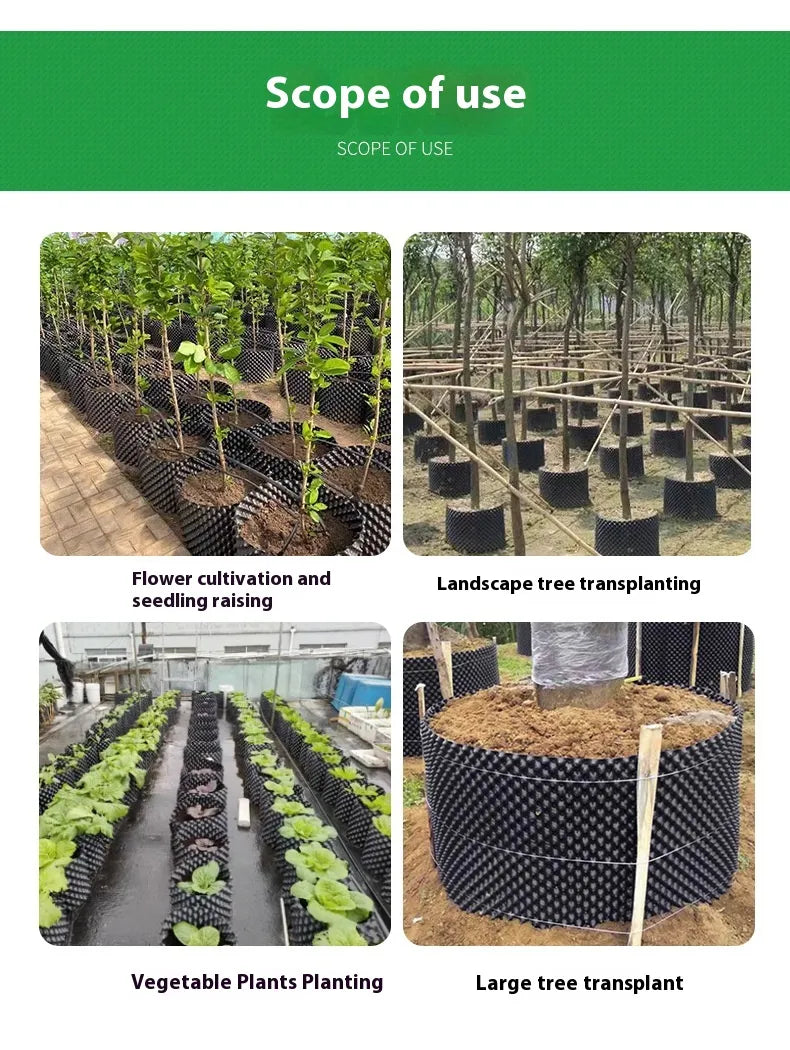 Root Control Device Guides Root Growth Reduces Root Rot