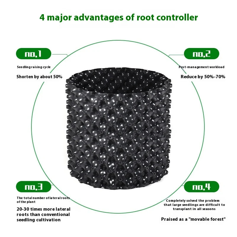 Root Control Device Guides Root Growth Reduces Root Rot