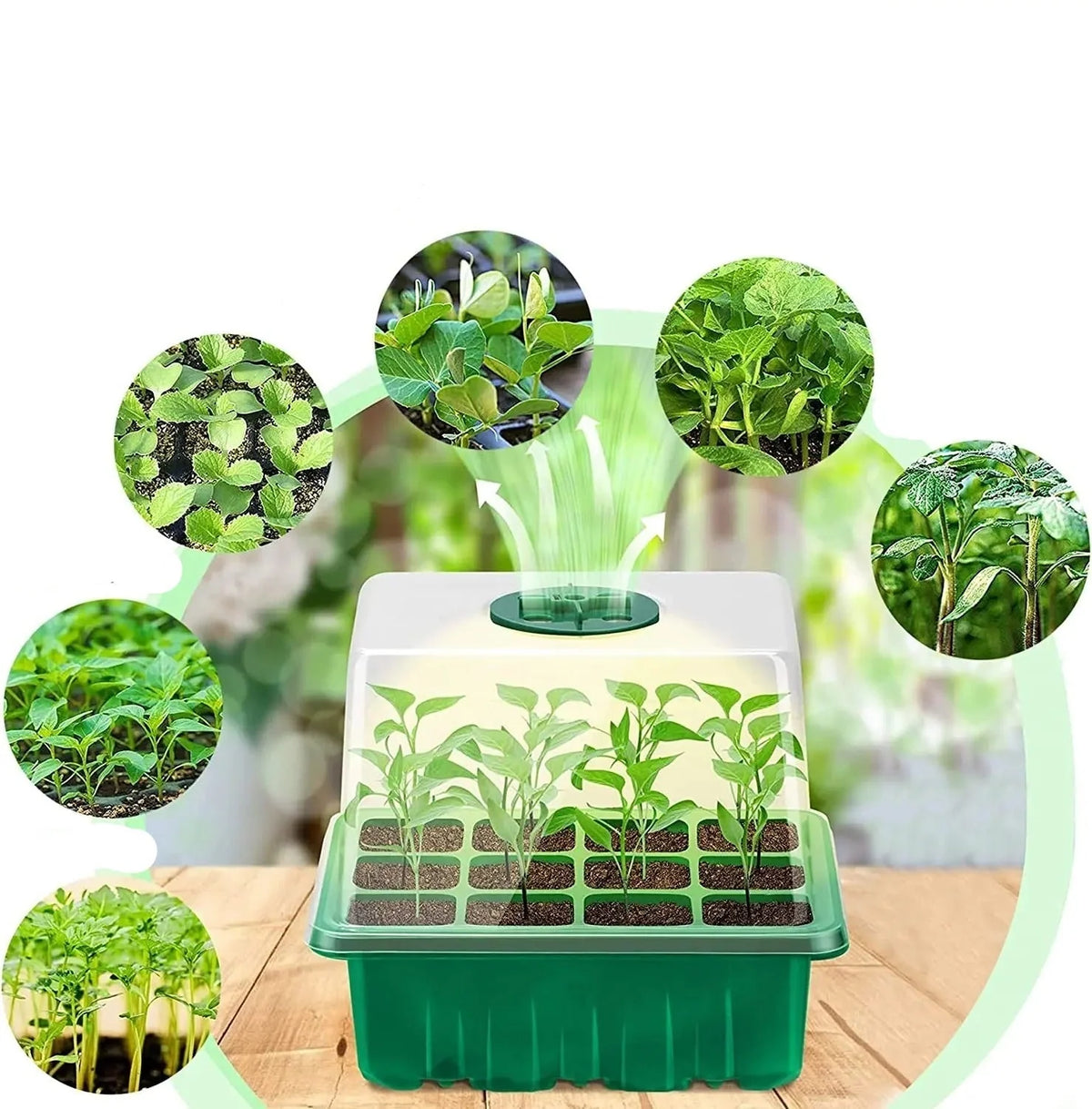 Seed Starter Tray Adjustable LED Grow Light All Season