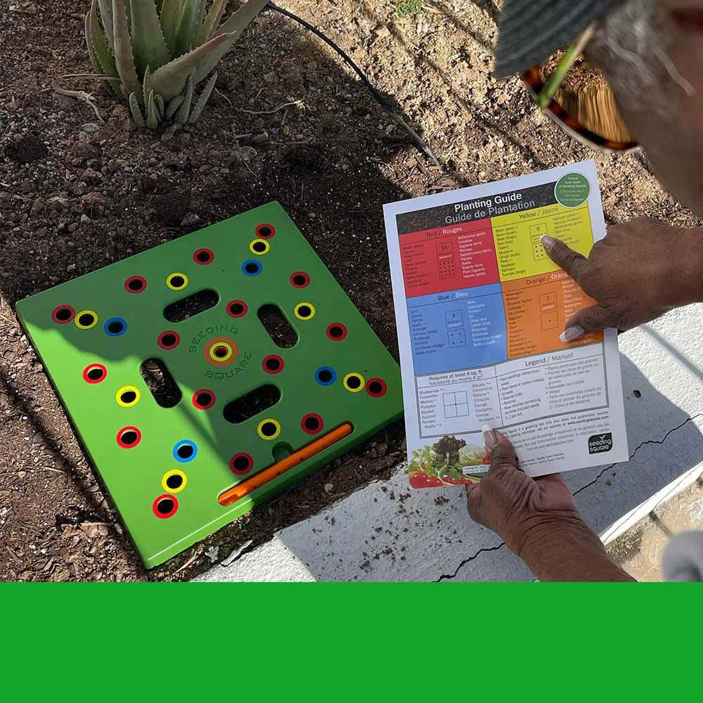 Seed Starting Kit 24 Biodegradable Trays & Adjustable Humidity Dome
