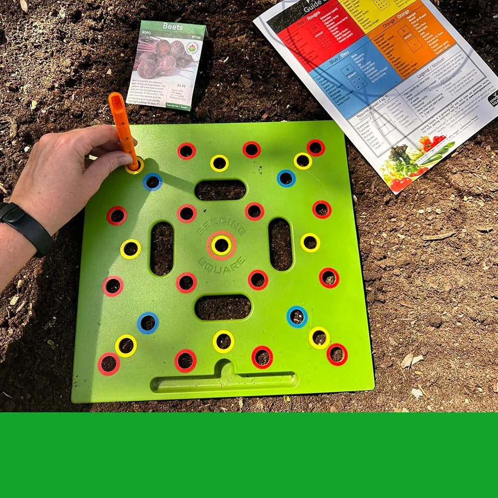 Seed Starting Kit 24 Biodegradable Trays & Adjustable Humidity Dome
