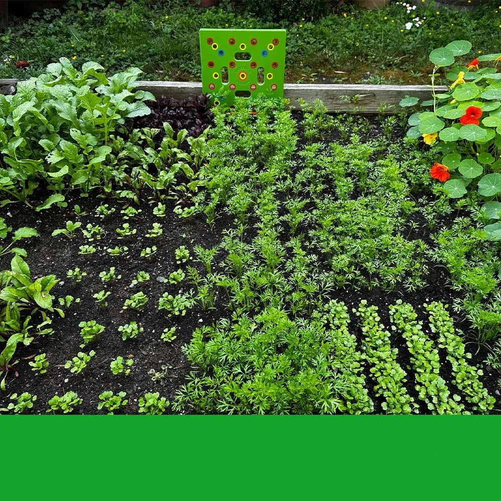 Seed Starting Kit 24 Biodegradable Trays & Adjustable Humidity Dome