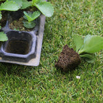 Seedling Propagation Tray Rectangular Built In Water Reservoir