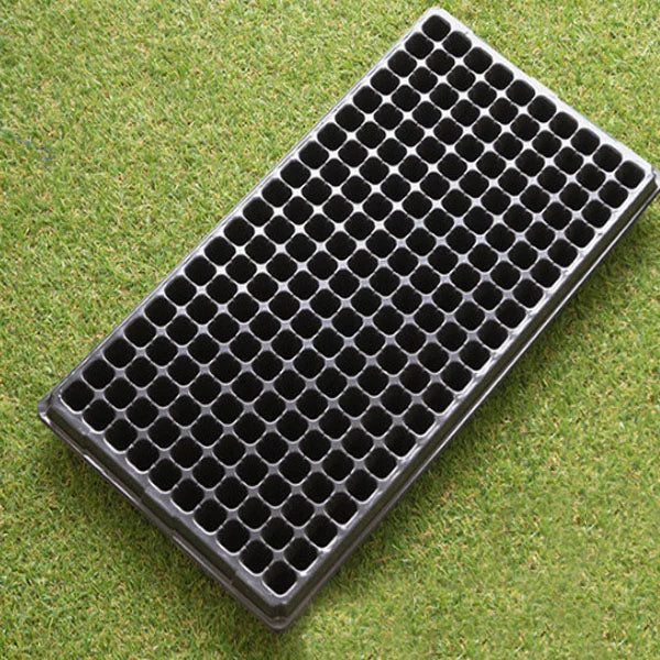 Seedling Propagation Tray Rectangular Built In Water Reservoir