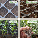 Seedling Propagation Tray Rectangular Built In Water Reservoir