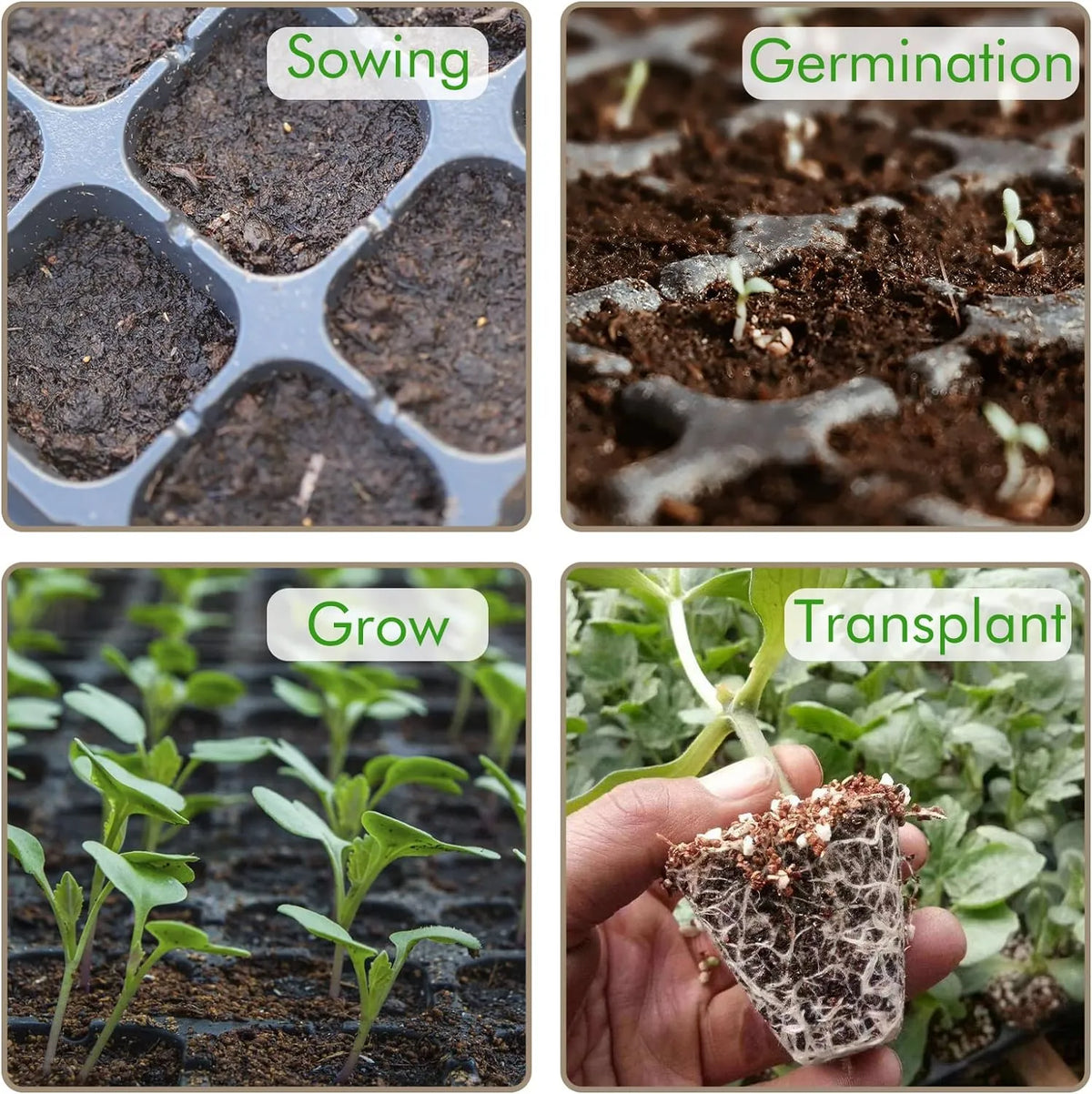 Seedling Propagation Tray Rectangular Built In Water Reservoir