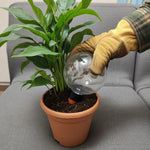 Self-Watering Globe Slow-Release 500ml Ceramic & Plastic