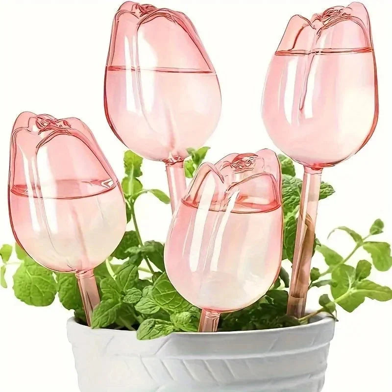 Self-Watering Plant Globe Tulip-Shaped Glass Slow-Release