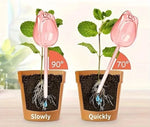 Self-Watering Plant Globe Tulip-Shaped Glass Slow-Release