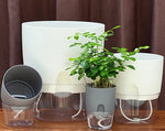 Self-Watering Planter Dual-Layer Cotton Rope & Transparent Basin