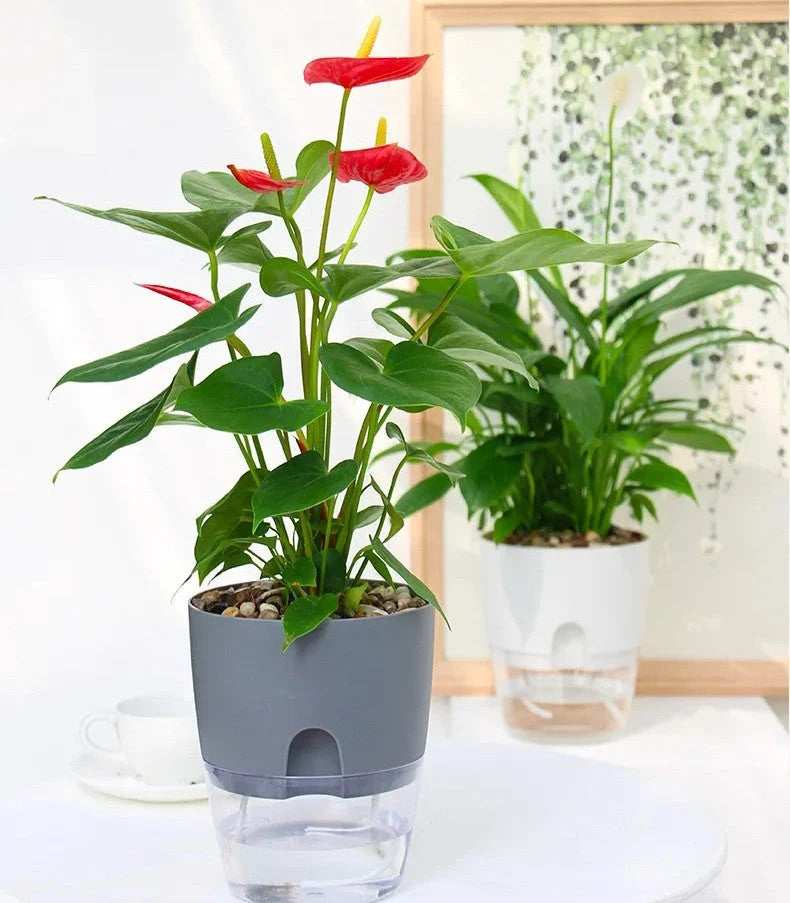 Self-Watering Planter Dual-Layer Cotton Rope & Transparent Basin