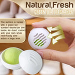 Shoe Deodorizer Odor Neutralizing Green Tea Set of 6