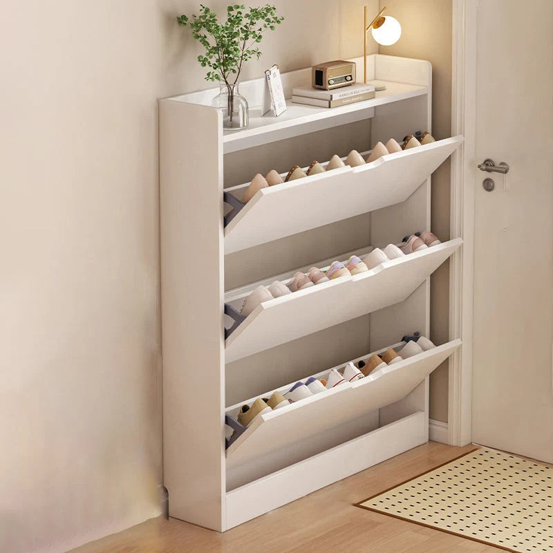 Shoe Storage Cabinet Slim Space-Saving Concealed Storage