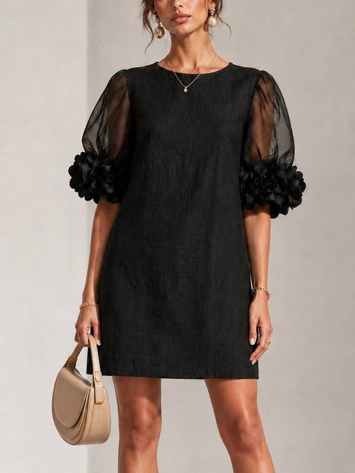 Short Dress Sheer Sleeves Floral Appliqué Details