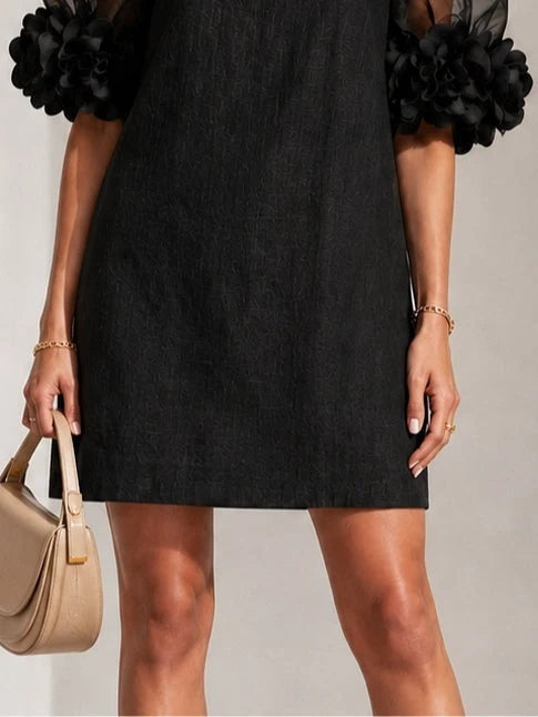 Short Dress Sheer Sleeves Floral Appliqué Details
