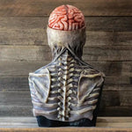 Skeleton Costume Anatomical Print With Skull Mask & Matching Hat
