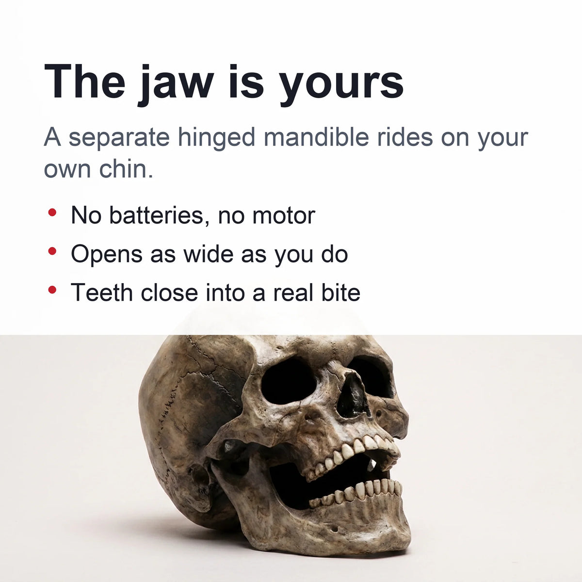 Skull Mask Full-Head Latex Movable Jaw Anatomical Design