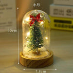 Snow Globe LED Illuminated Glass Dome & Wooden Base