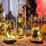 Snow Globe LED Illuminated Glass Dome & Wooden Base