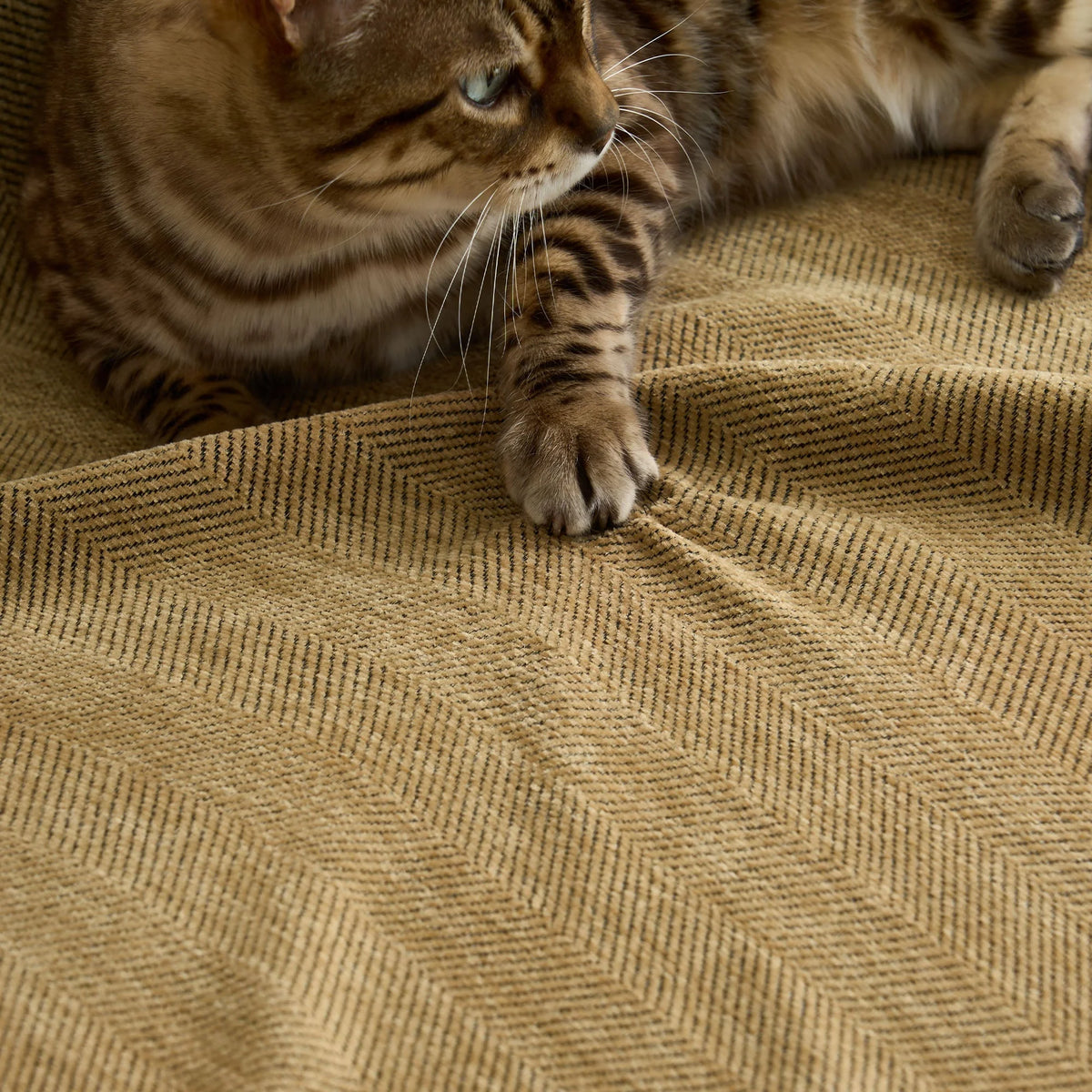 Sofa Cover Herringbone Water-Repellent Machine-Washable Pet-Resistant Protection