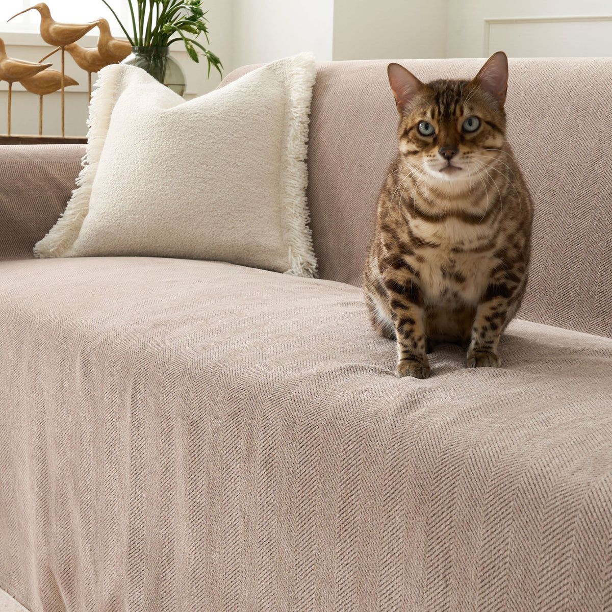 Sofa Cover Herringbone Water-Repellent Machine-Washable Pet-Resistant Protection
