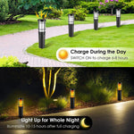 Solar Path Light Flickering Flame & RGB IP65 Weatherproof