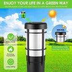 Solar Path Light Flickering Flame & RGB IP65 Weatherproof