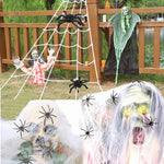 Spider Web Decoration Kit Stretchable With Giant Spider